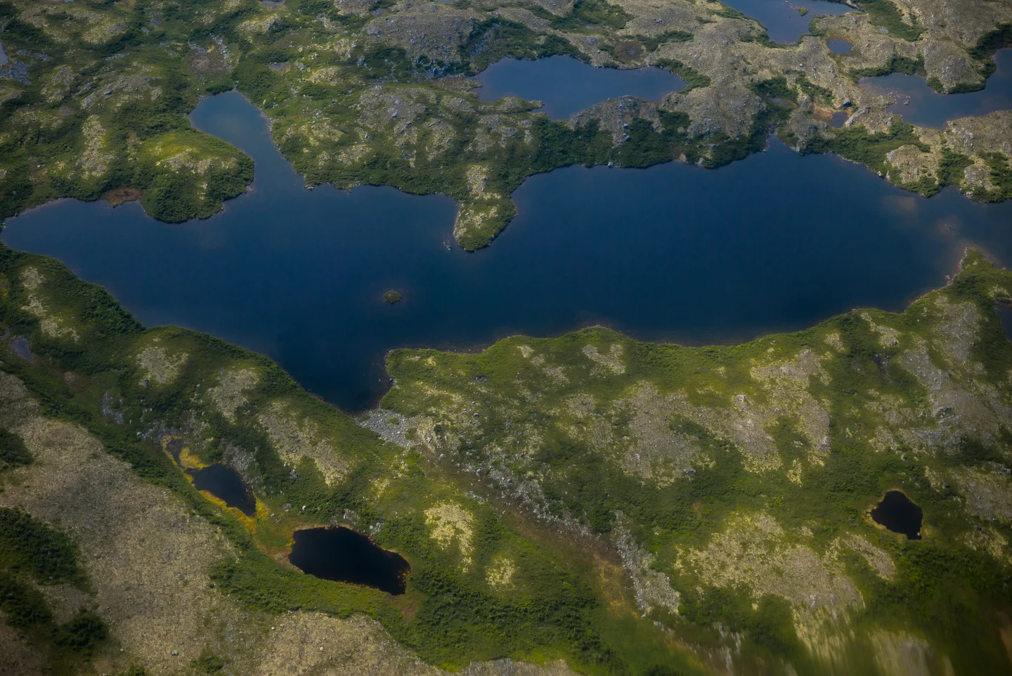 The Southern Labrador Coast, Labrador 2016