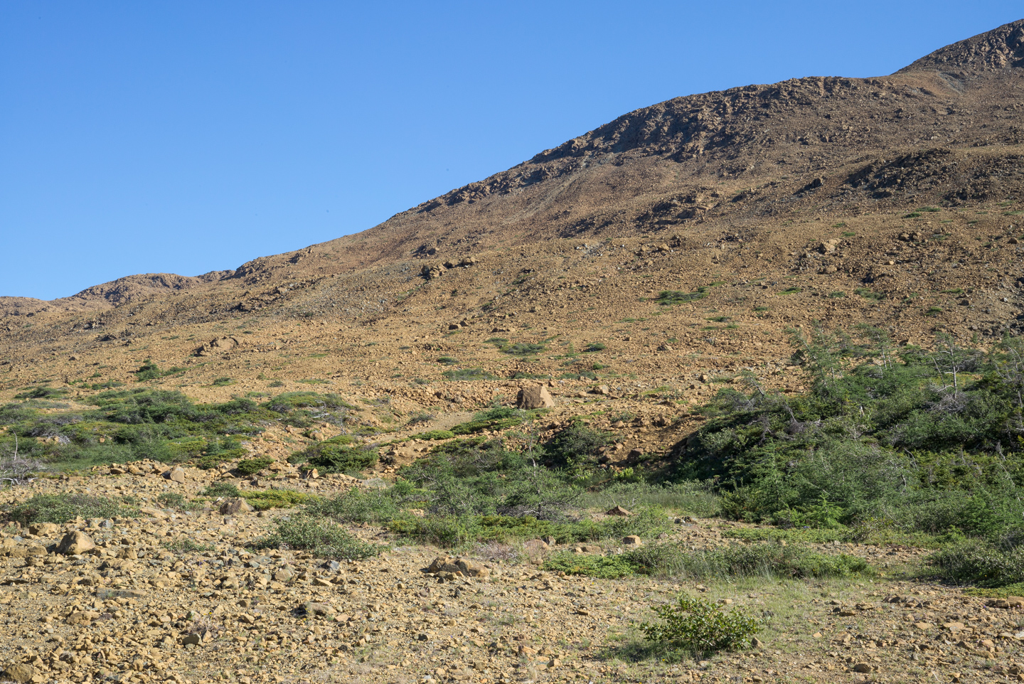 Tablelands, Newfoundland 2016