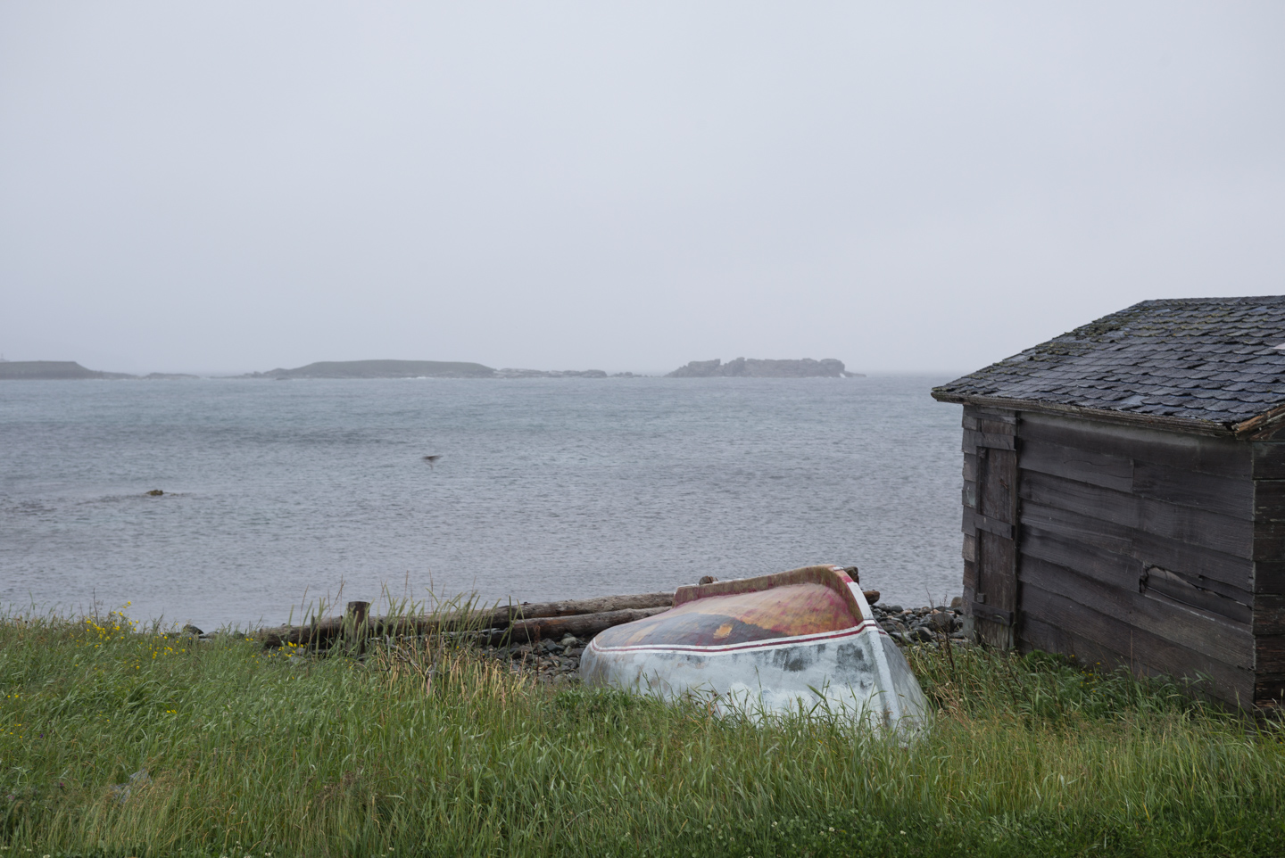 Monday July 11. Bonavista, Newfoundland 2016