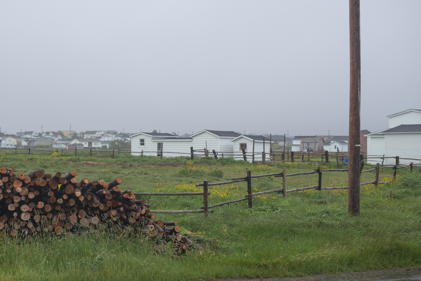 Bonavista, Newfoundland 2016