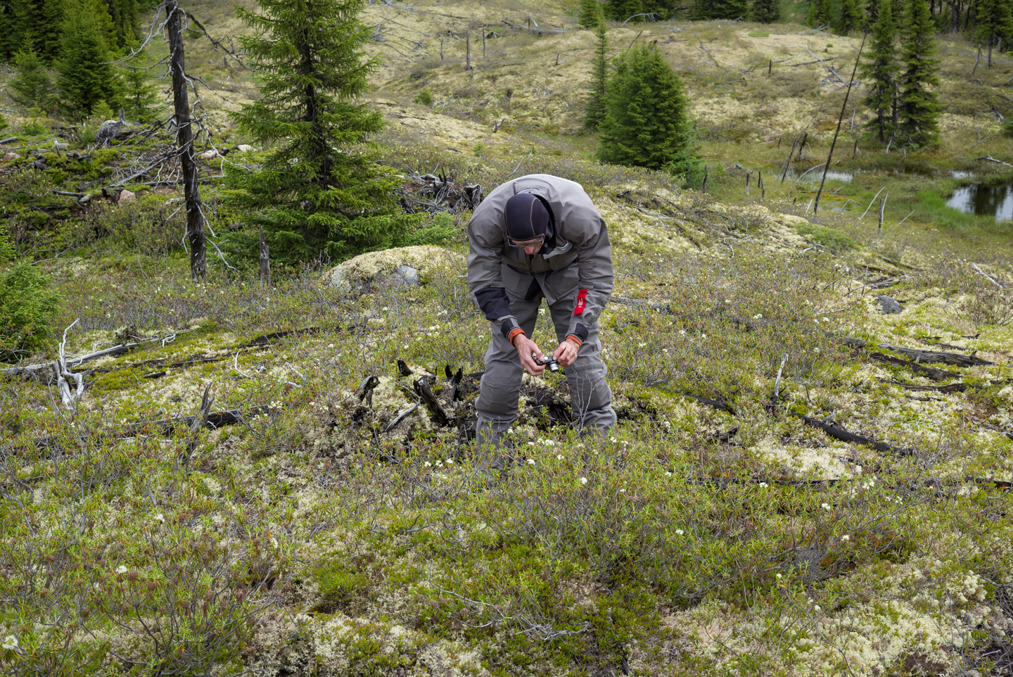 Cosmonaut-botanist in the field of dreams. Between Goose Bay and