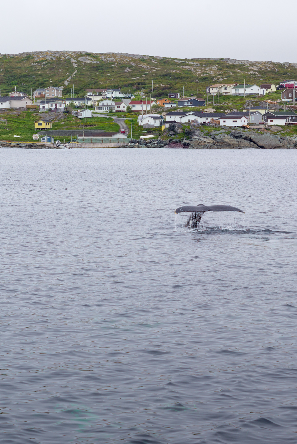 St. Anthony, Newfoundland 2016