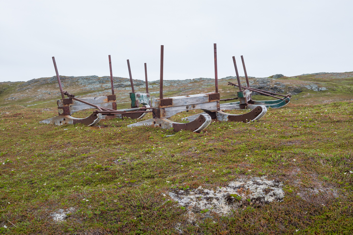 Firewood sleds. Goose Cove, Newfoundland 2016