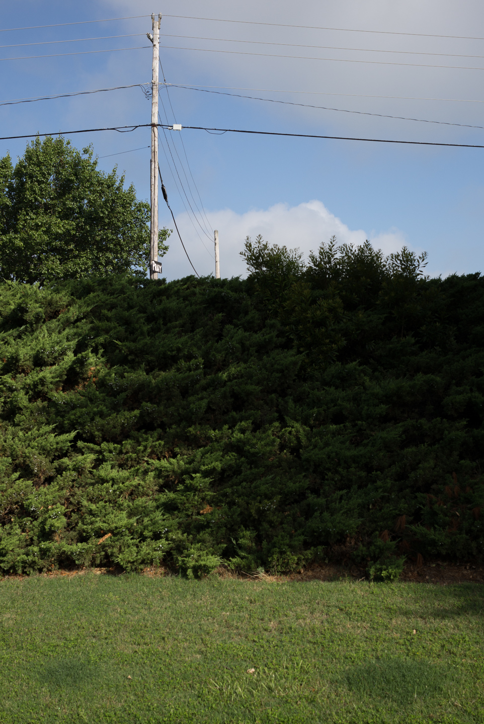 Pray. Seneca, South Carolina 2015