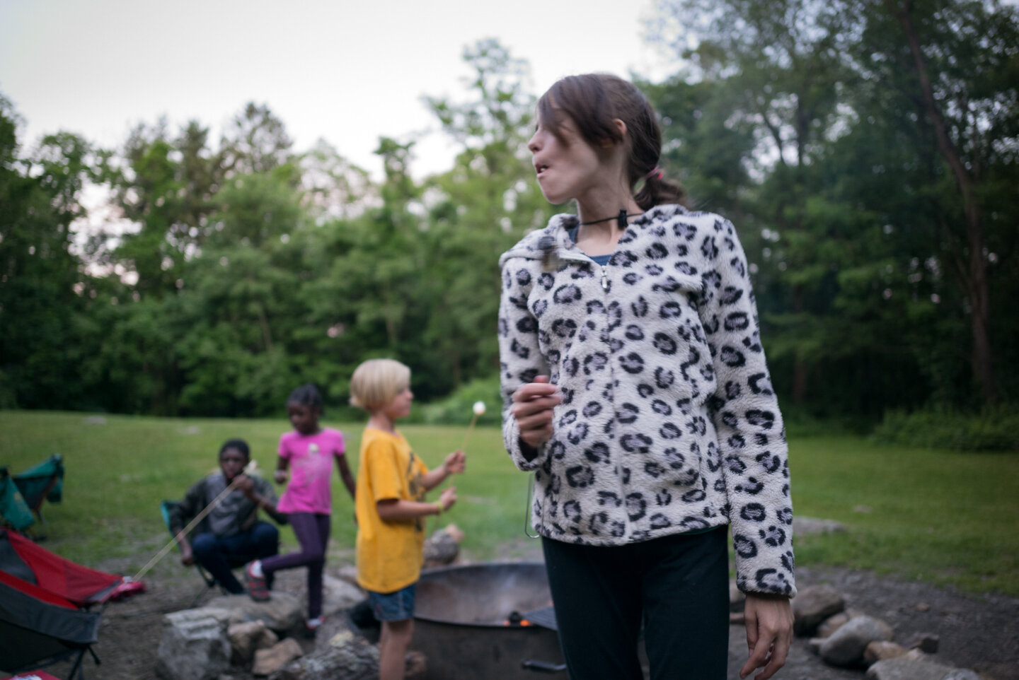 Fahnestock Park, New York. June 2019