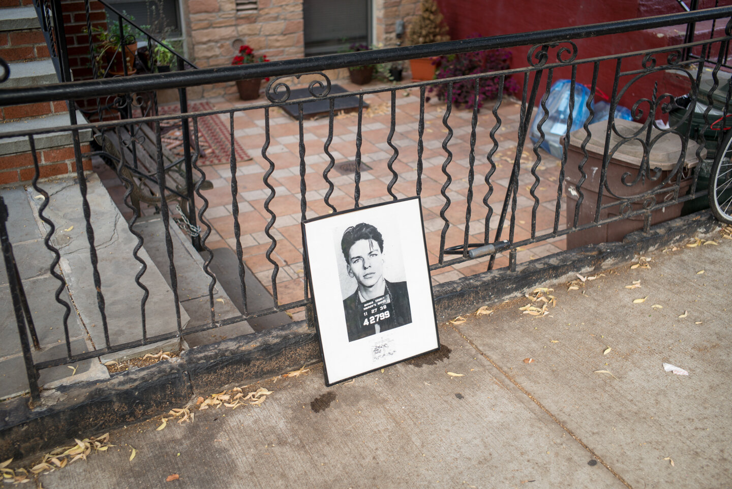Photograph of Sinatra. Greenpoint, Brooklyn 2014