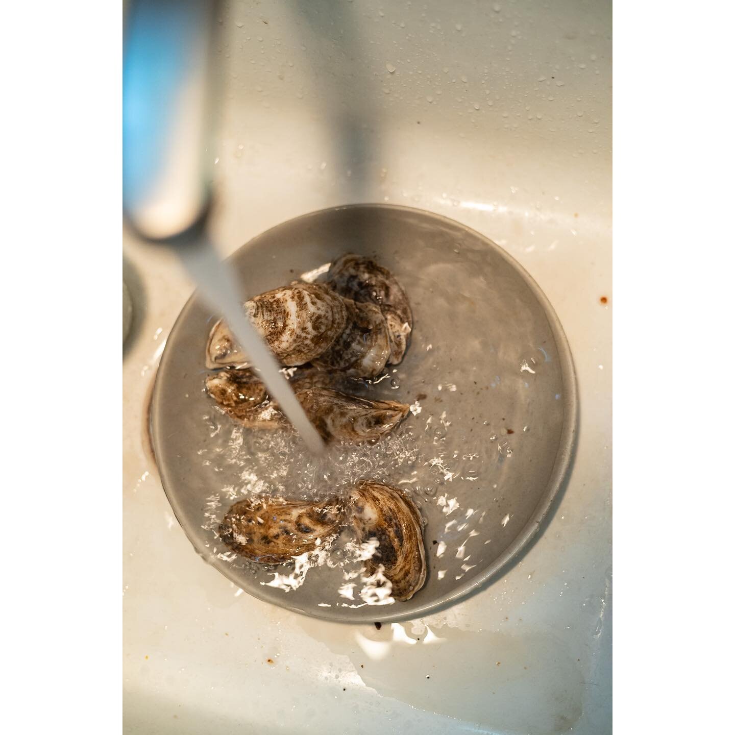 Oysters. Last summer with @neverdennis , Bainbridge, New York