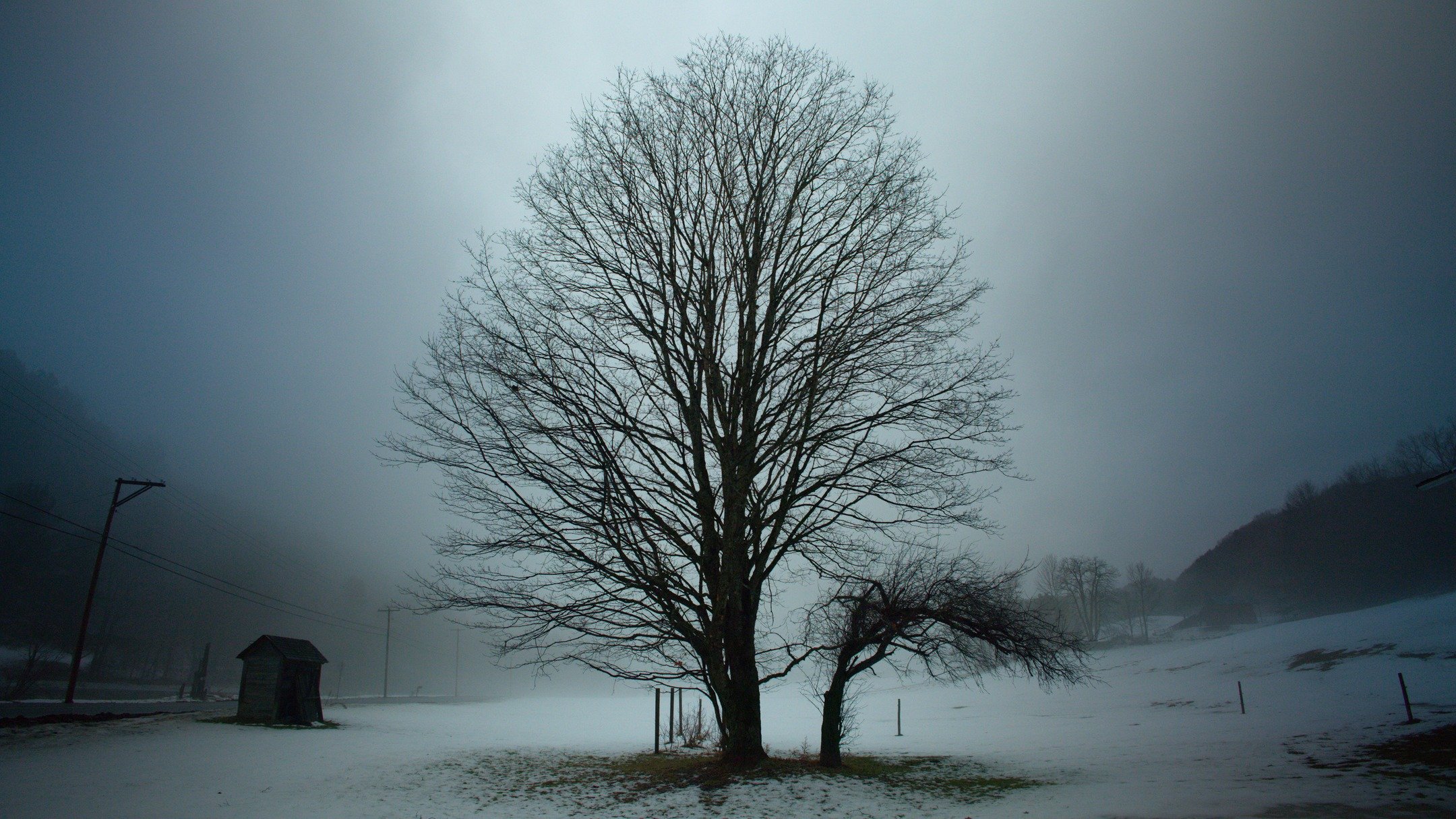 Stills from my recent film, Obstinate Crow. Link in bio&mdash;enjoy!