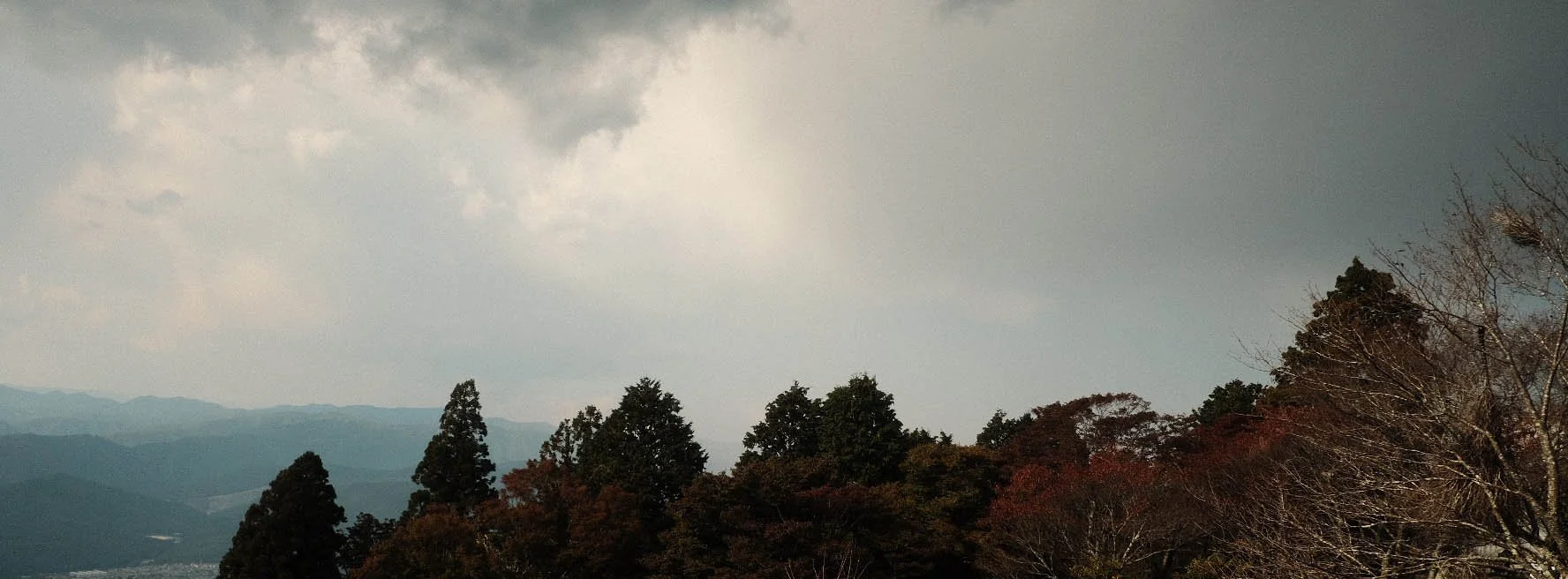 Japan652400025.jpg
