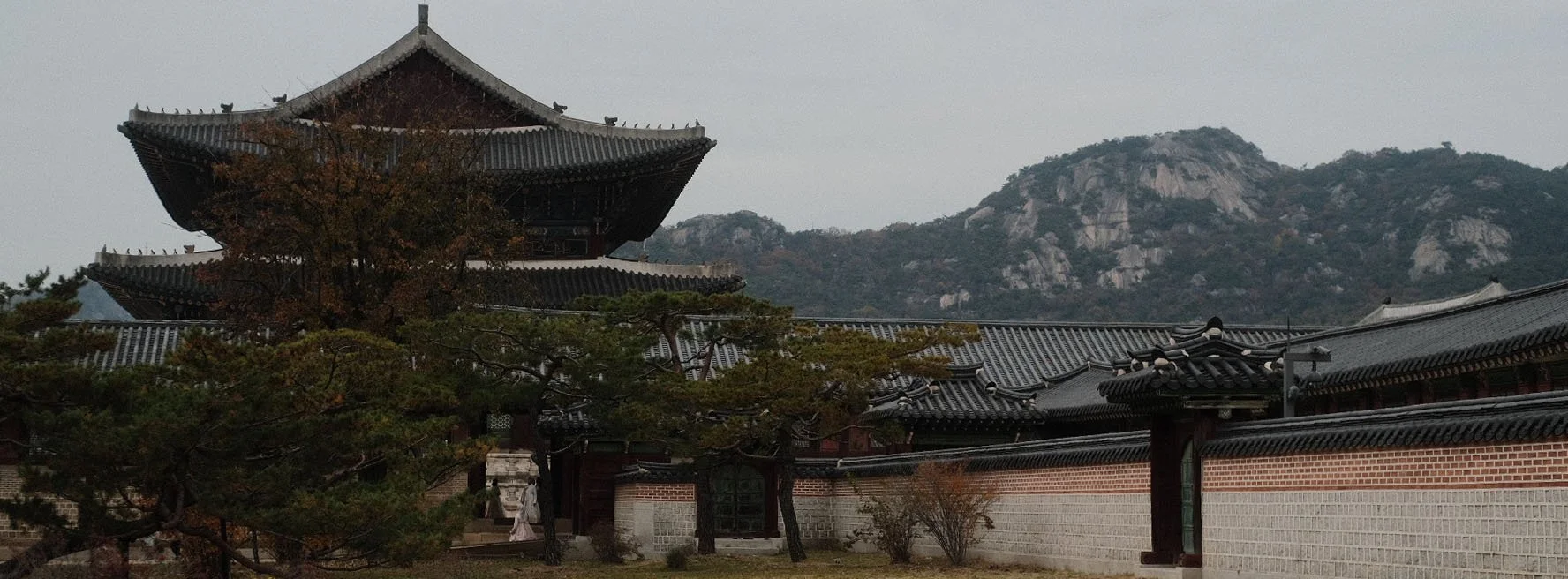 Korea2025_4.jpg