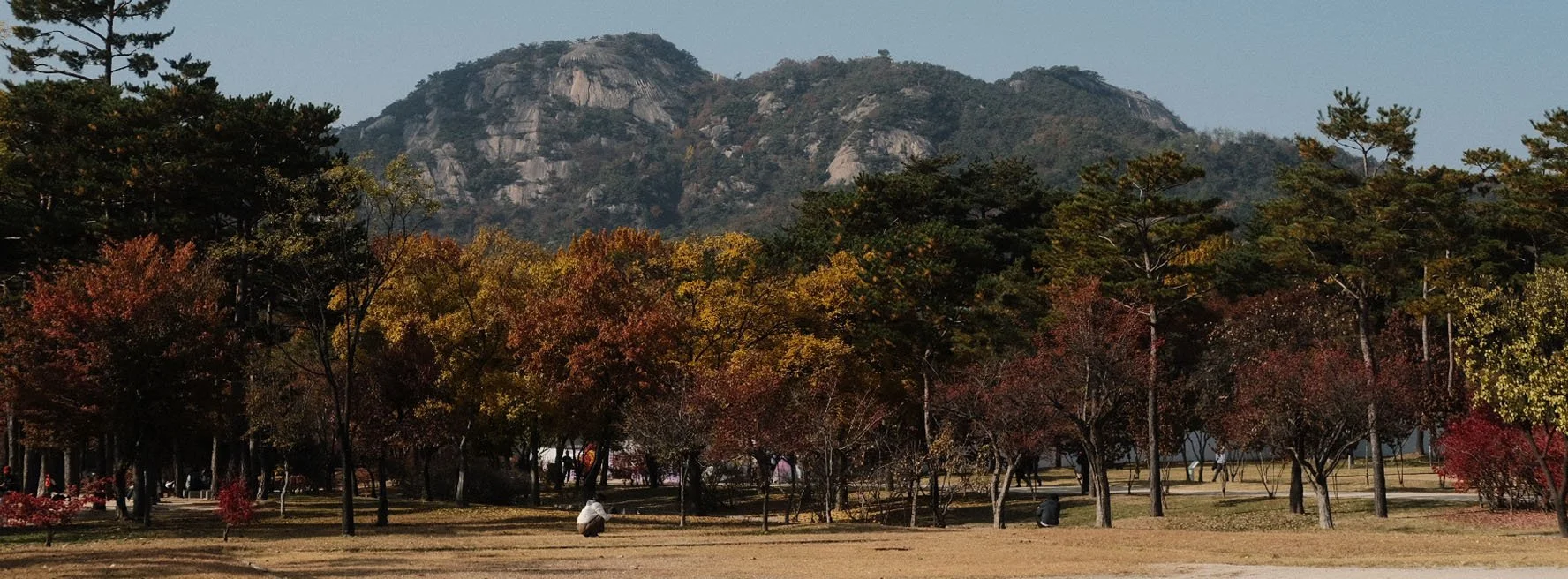 Korea2025_9.jpg