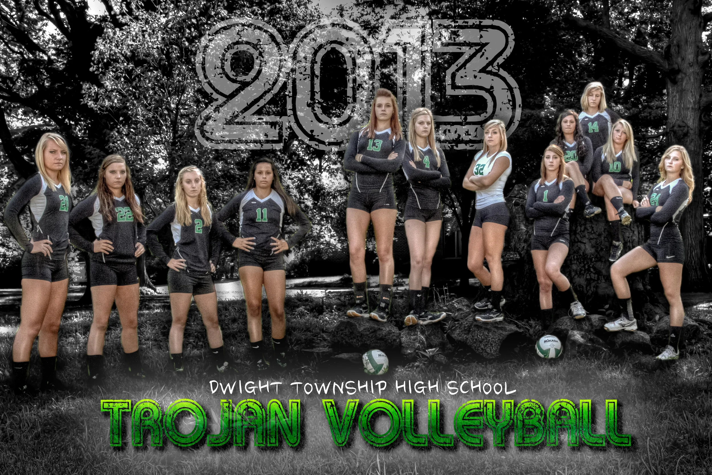 Volleball2013Poster-01.jpg