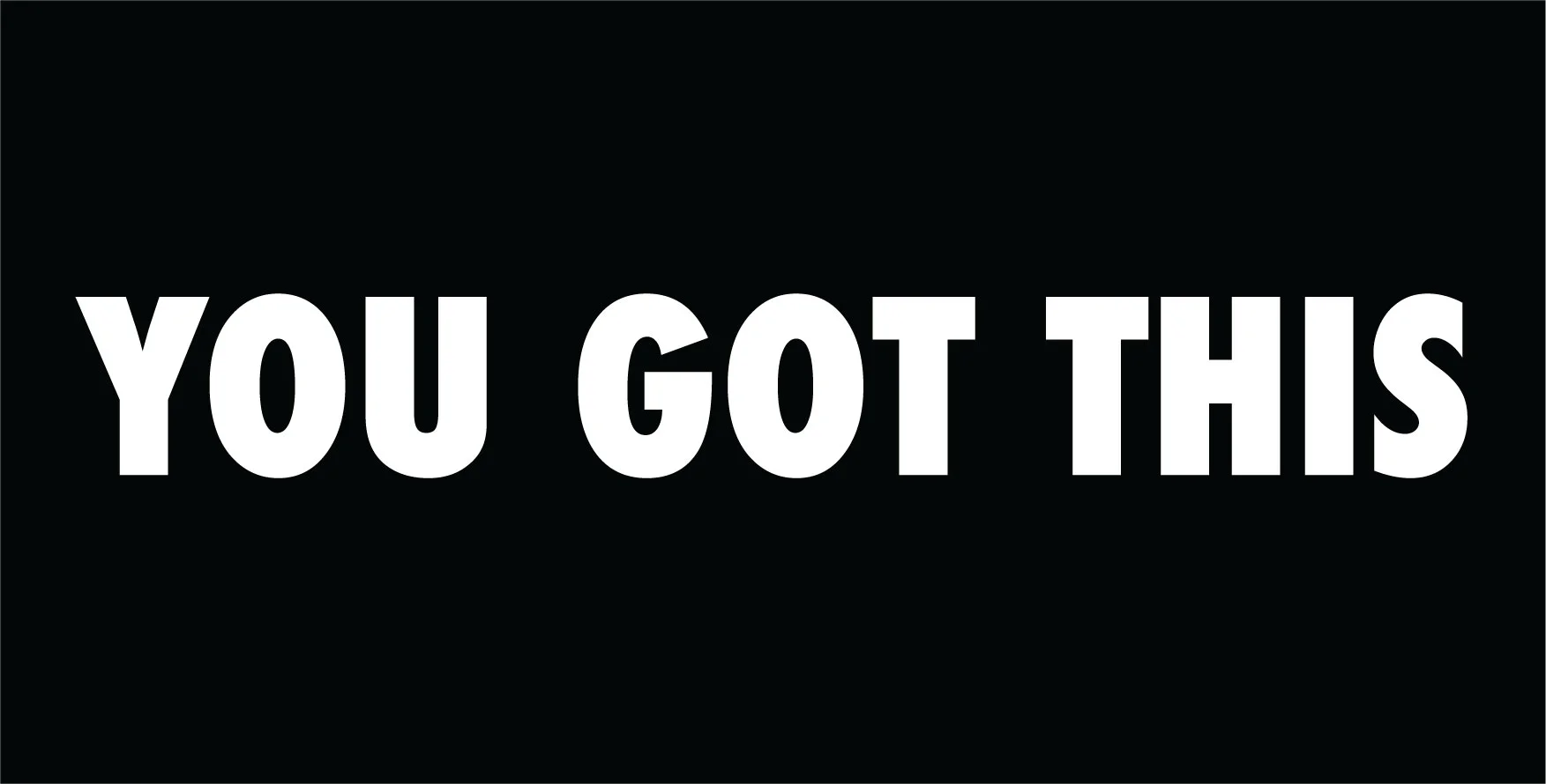 YOU GOT THIS | 12in x 24in Metal Sign