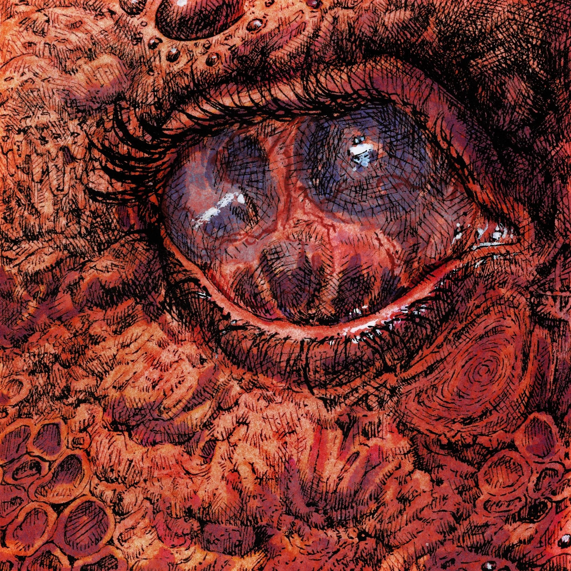 Shardik album out from Tzadik Label (July 2025!)