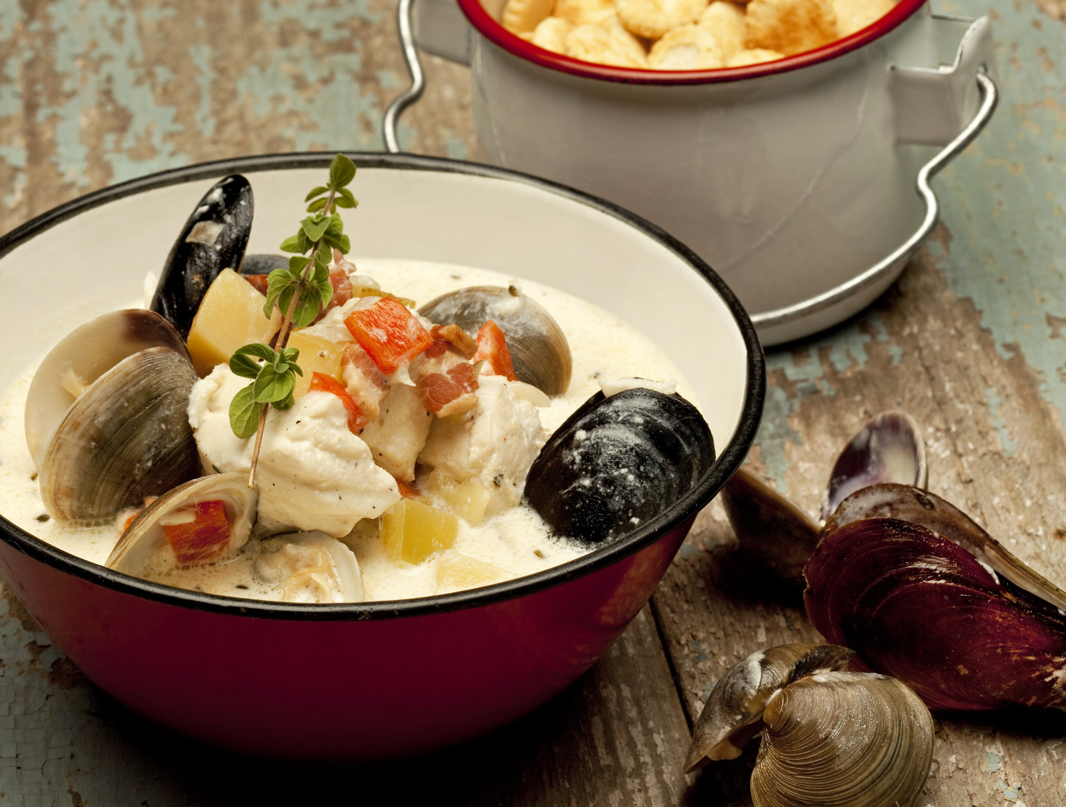  Photo by Steven Freeman 