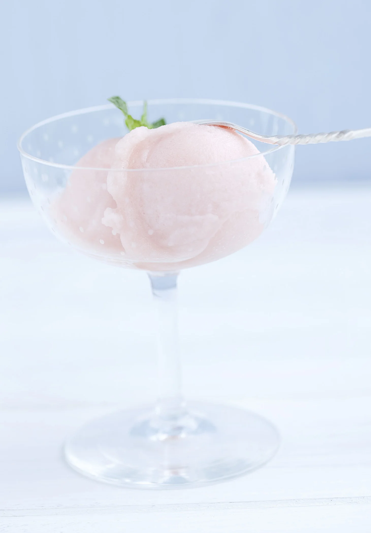  Photo by Steven Freeman 