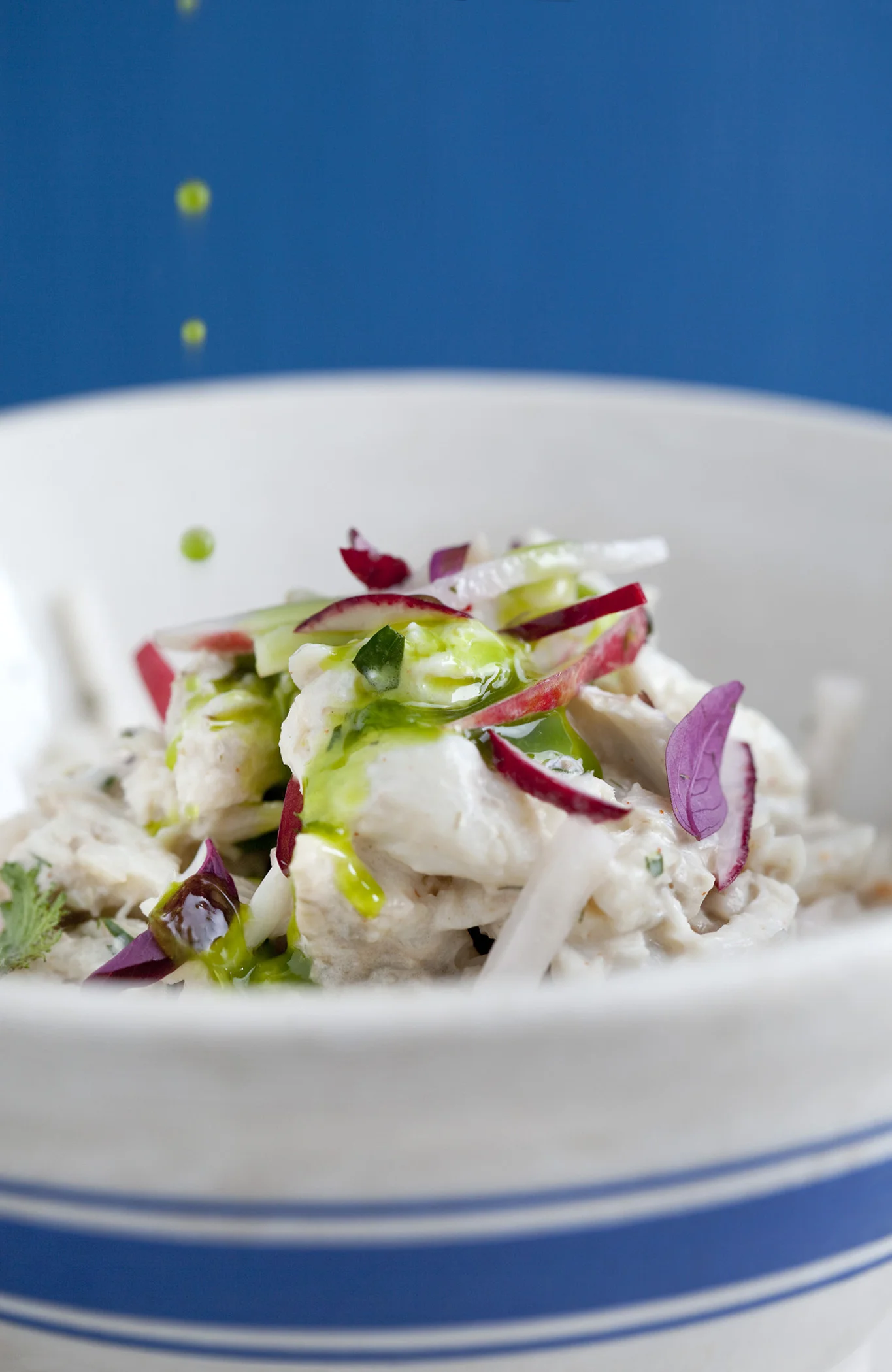  Photo by Steven Freeman 