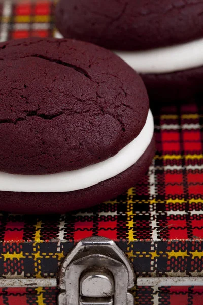  Photo by Steven Freeman 