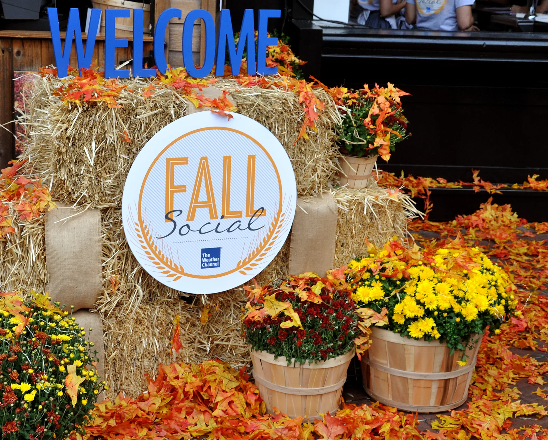  The Weather Channel Fall Social at The Standard Hotel • Design &amp; Styling for  Blue Engine Marketing  