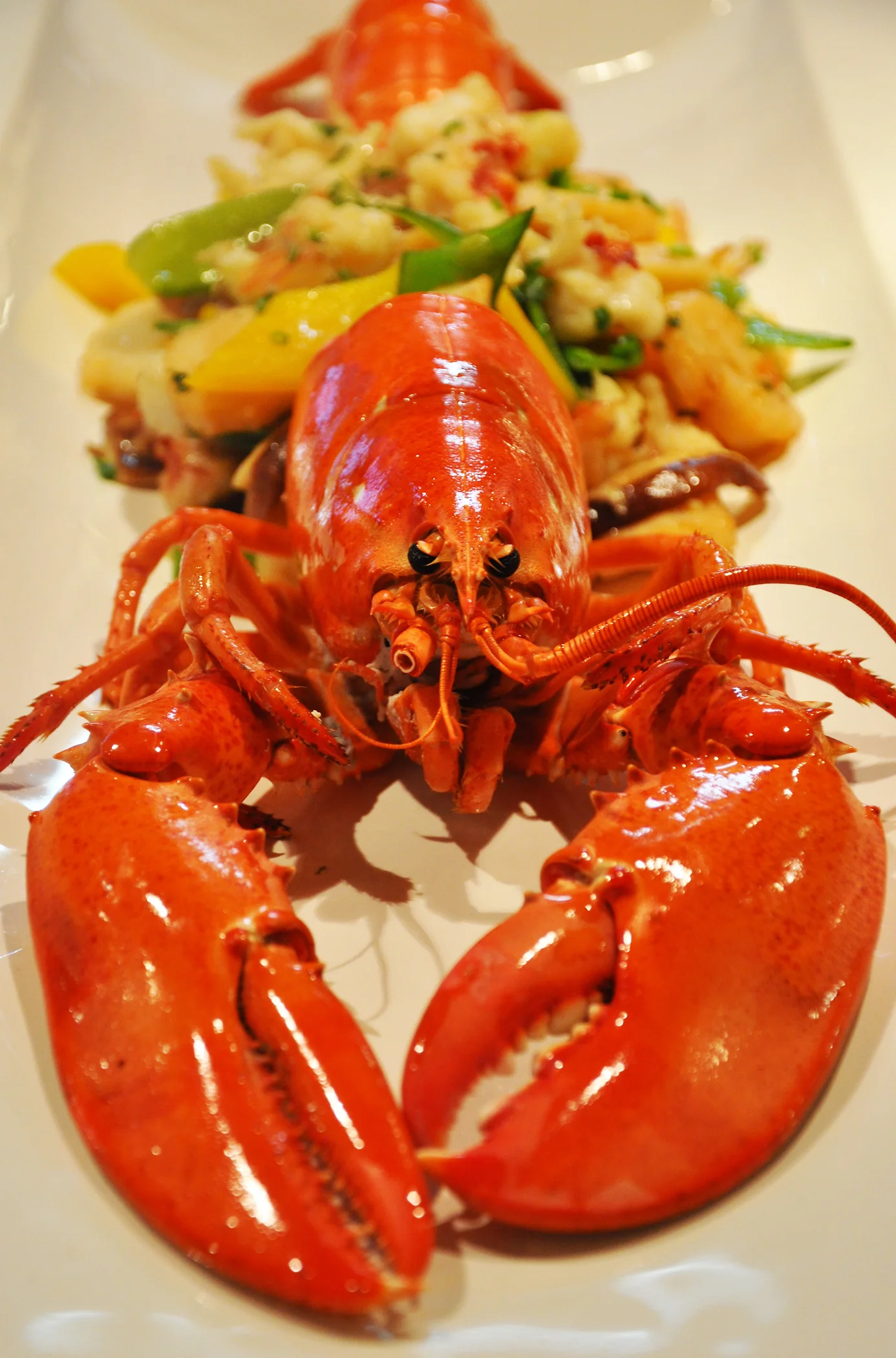LOBSTER2.jpg