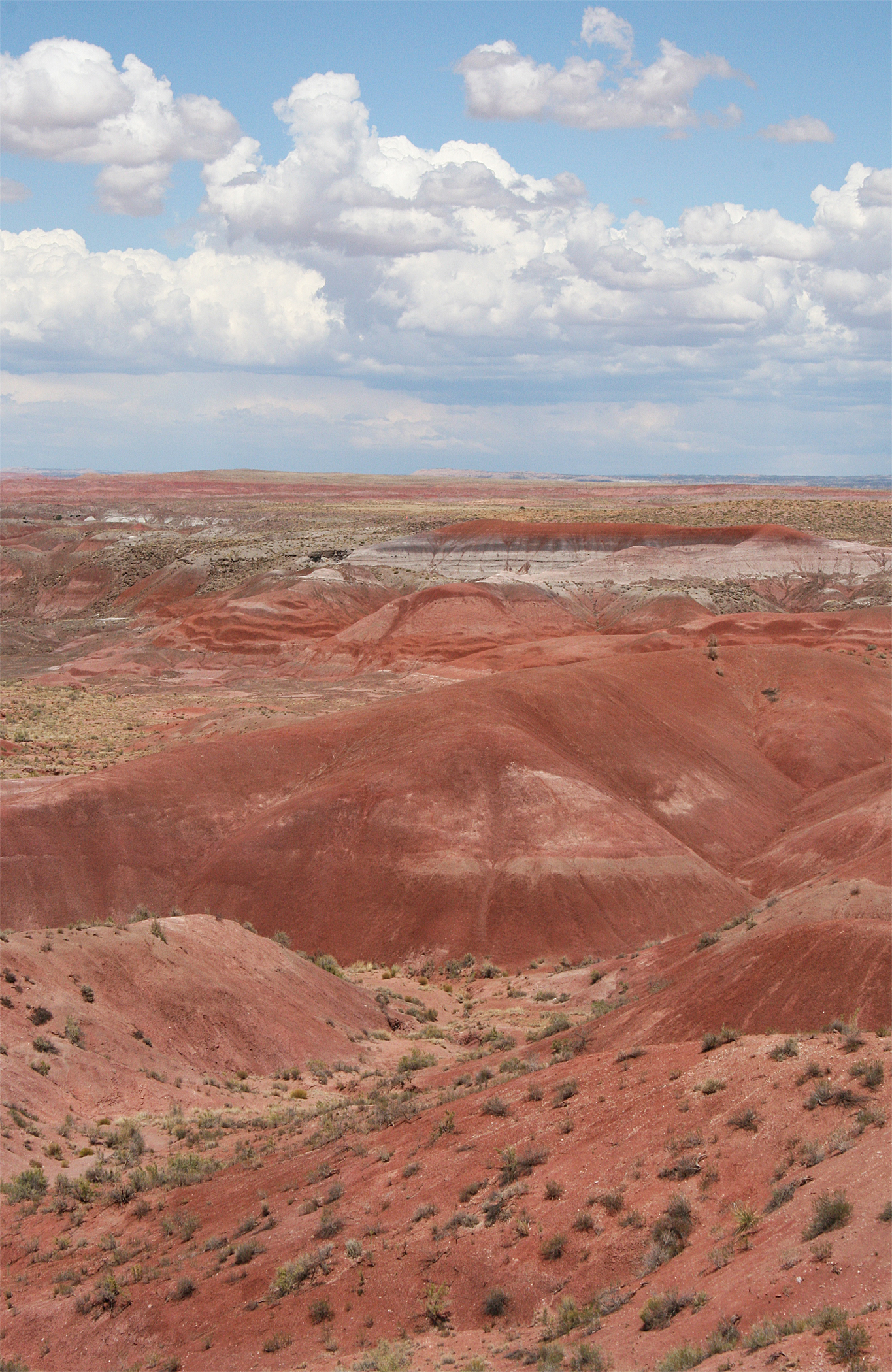 PAINTED DESERT.jpg