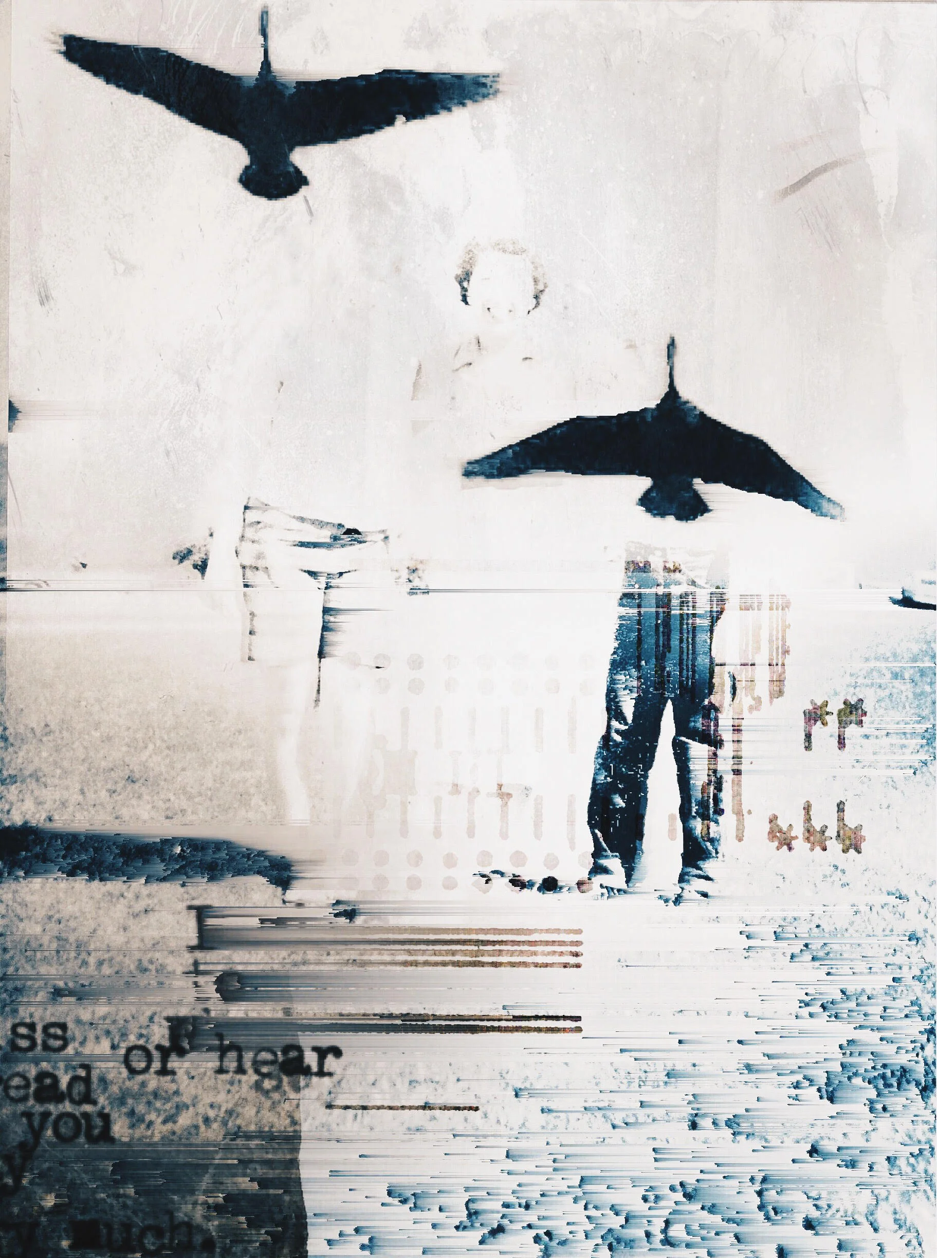 Ephemeral 01 } I've been digging through old family photos. Reimagining what they could be, beyond evidence of the subjects' physical existence. Embracing the fade of them. Calling in the birds. Adding artifacts that mean much to me. Wondering where the souls go. 