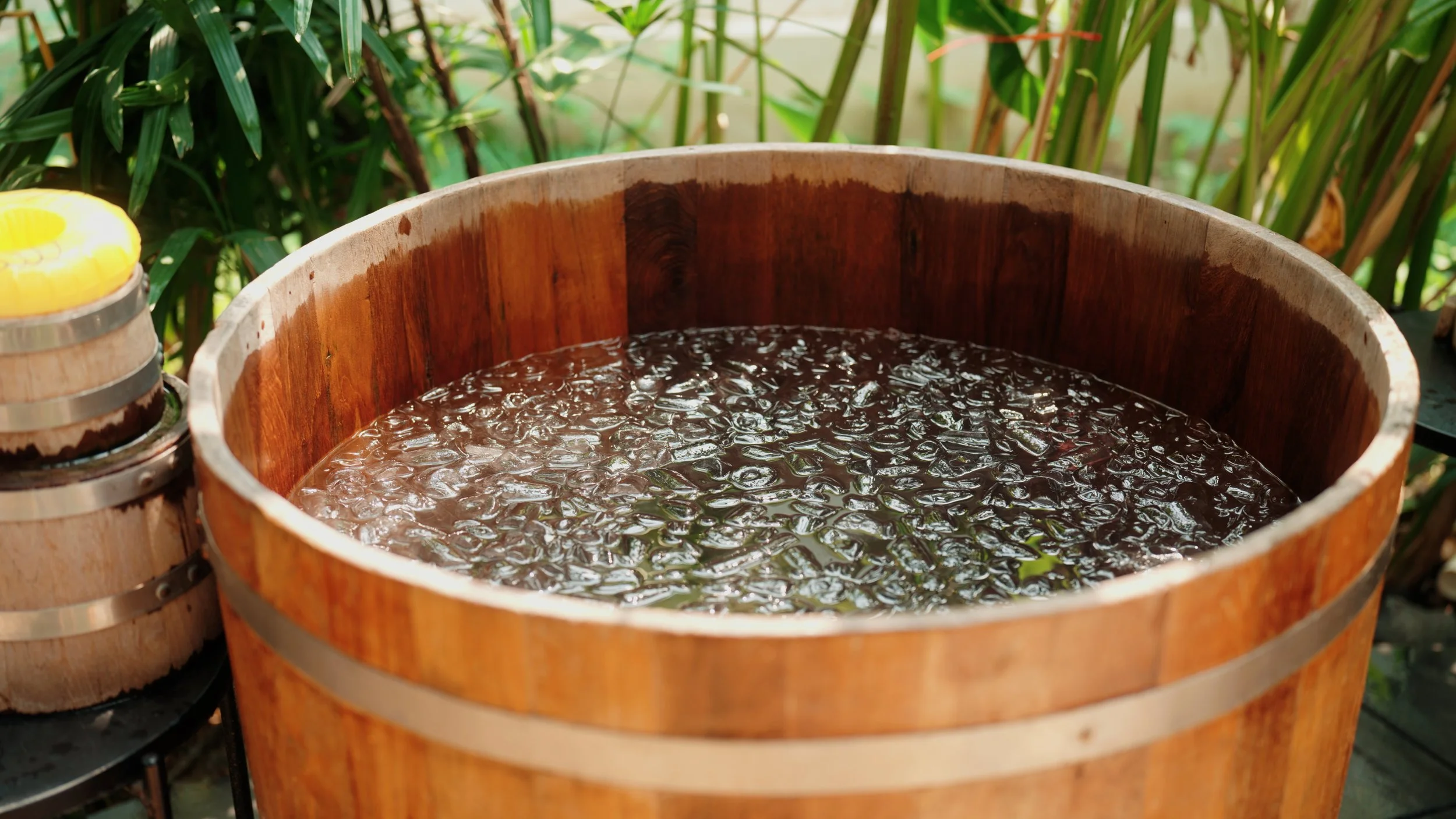 Do Cold Plunges Improve Cognitive Performance?