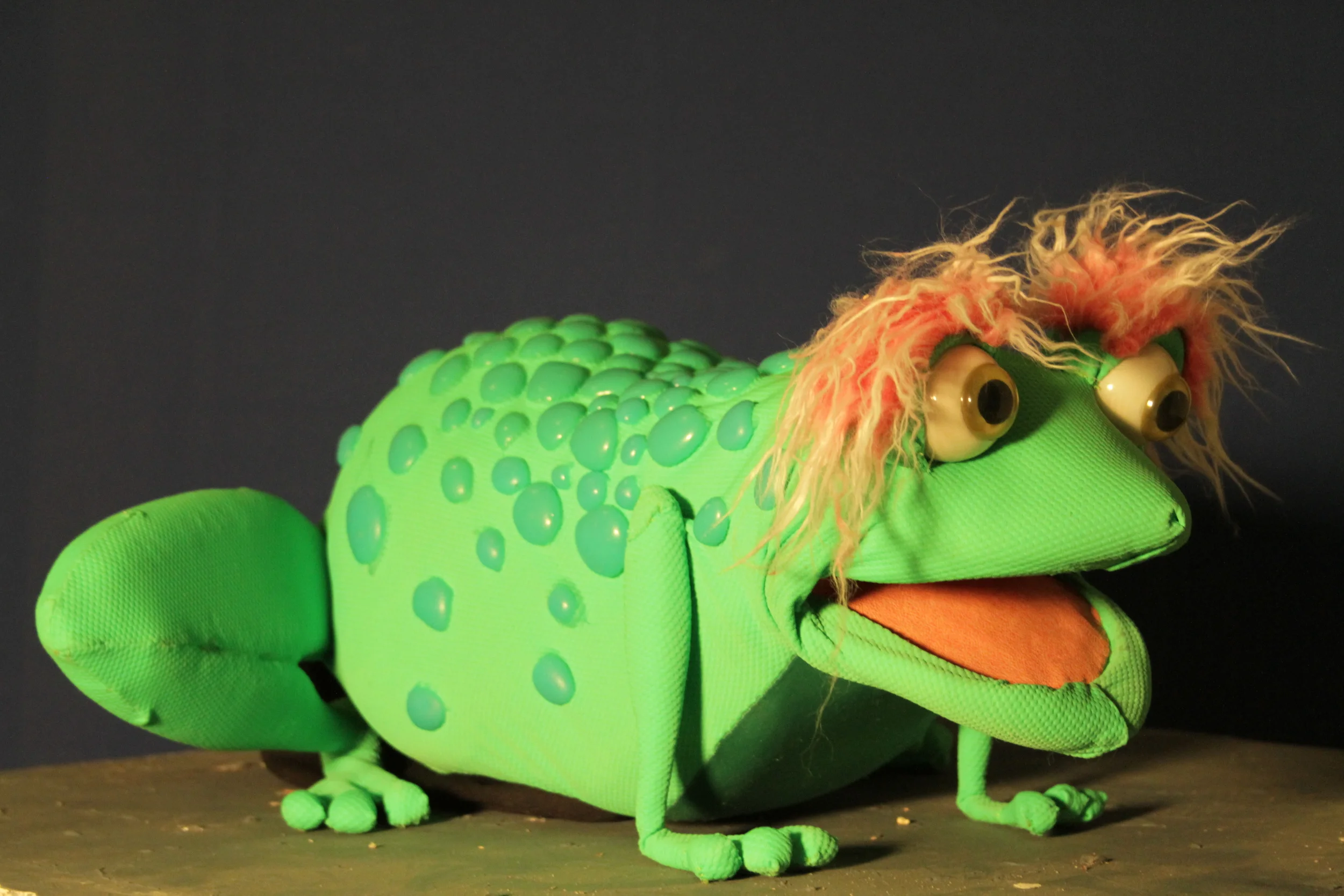 Gurgy  (Ecclesia)  A puppet I made to entertain kids from the slums at a camp in Kenya