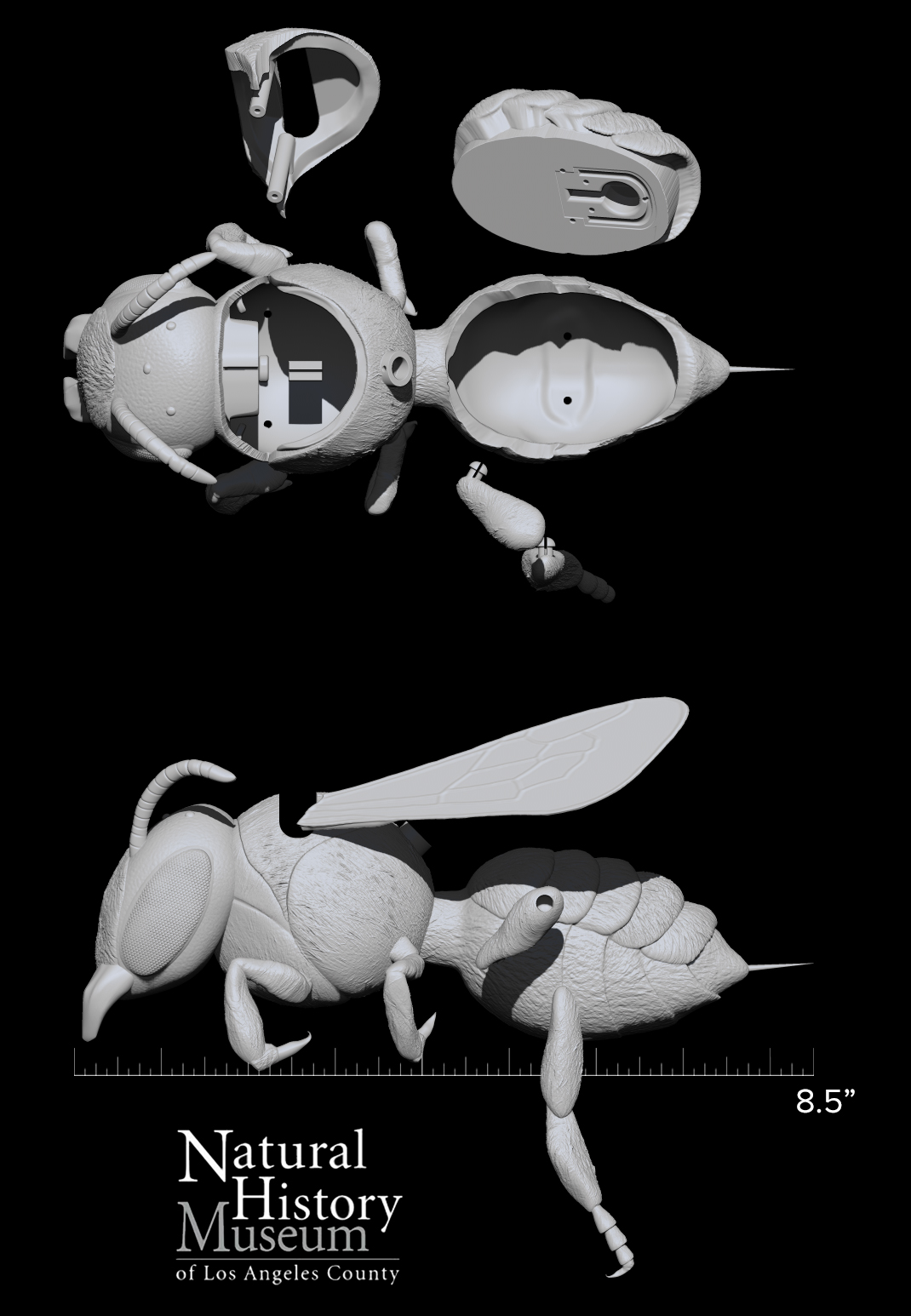 Leaf Cutter Bee Rod Puppet