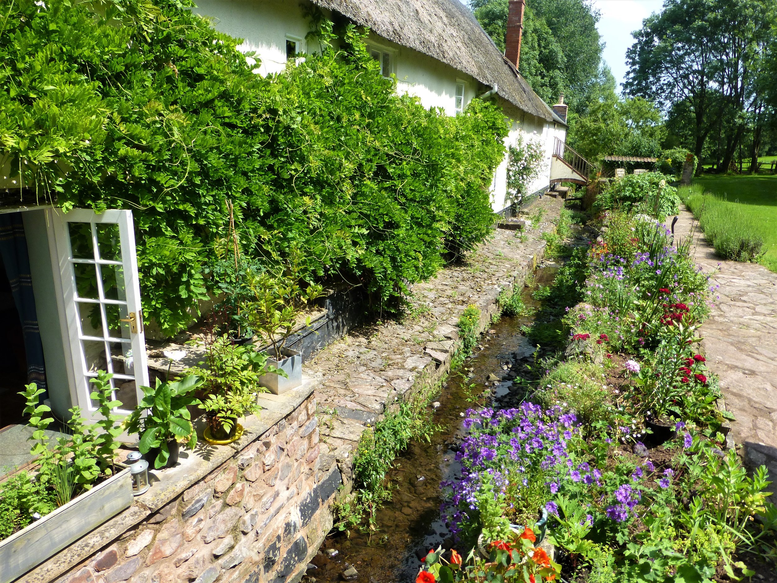 Our leat, bursting with life and colour!