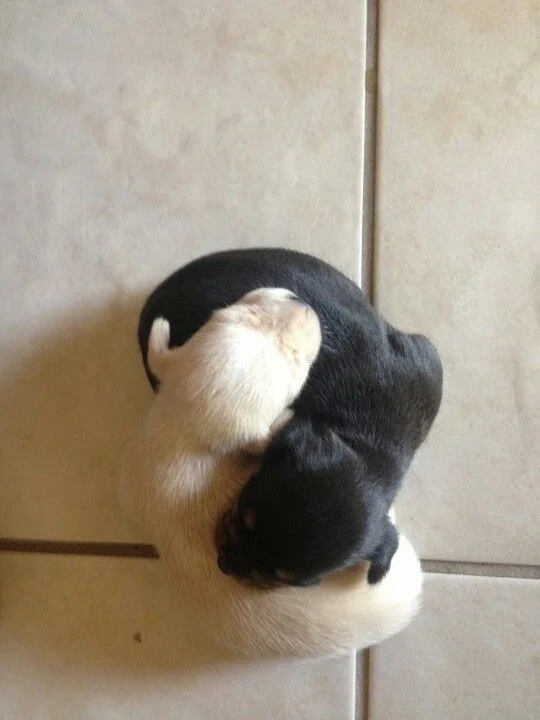 Modern Day Macro-Part 3: Complementary Opposites