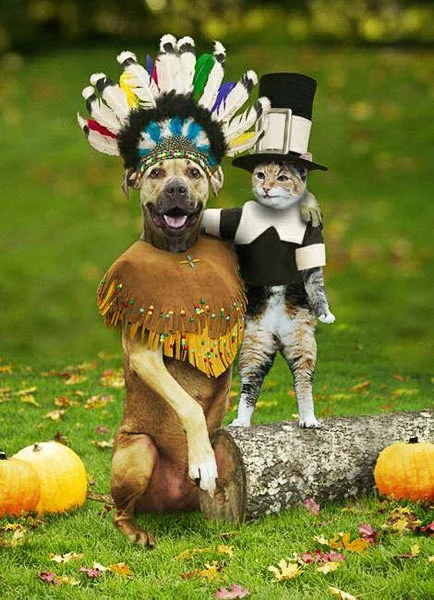Thanksgiving Week Survival: Game Day Training Plan
