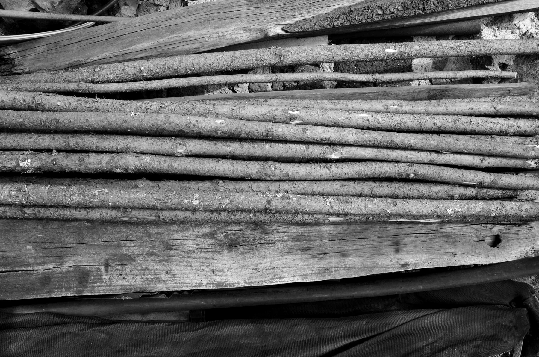 Hoz stool & Mr. Rodolfo 