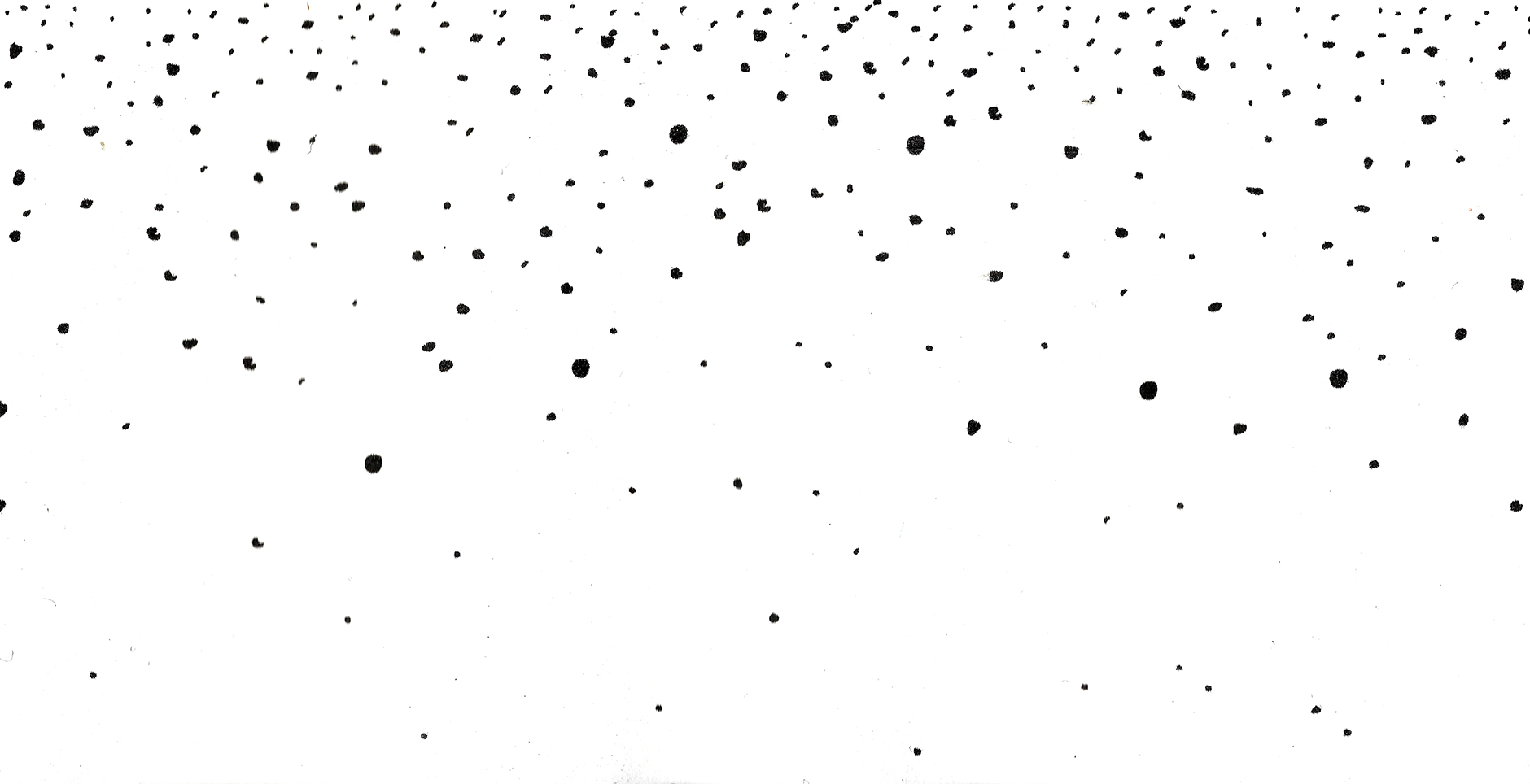 white dots-l.jpg