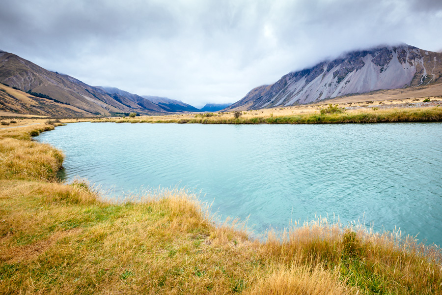 NZ Trout_Andrew Mayo_05.jpg