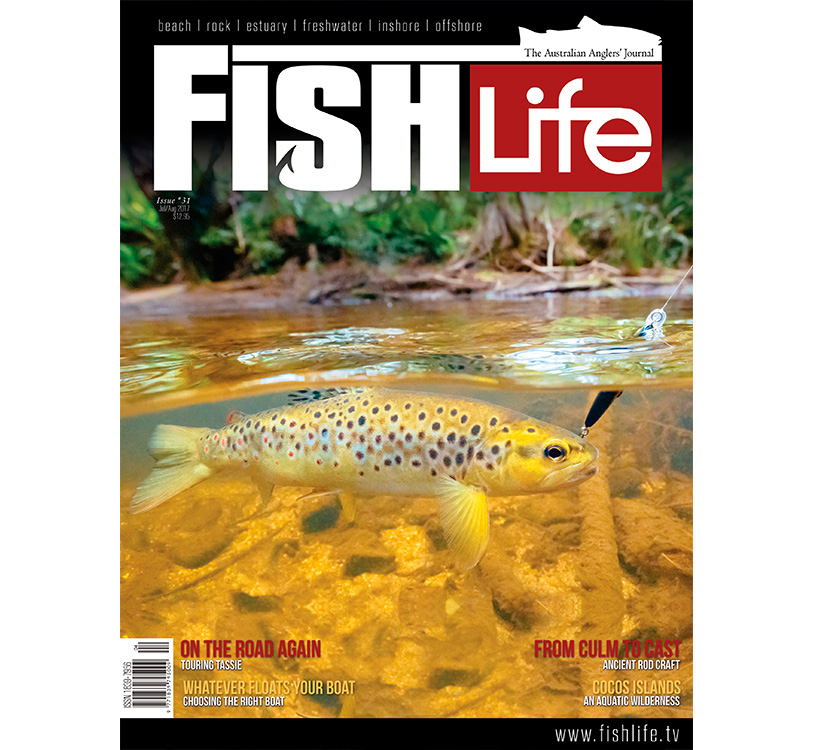 Andrew Mayo_FishLife_Cover pic_July 2017.jpg