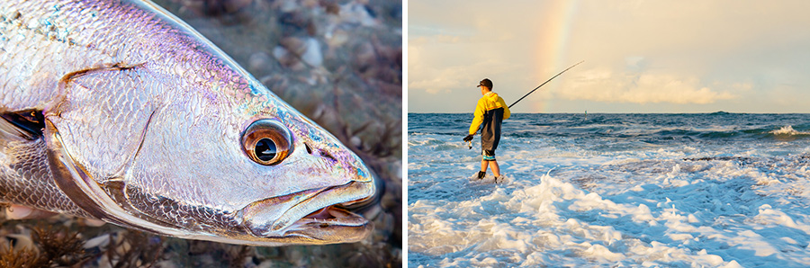 Jewfish on lures_Andrew Mayo__24.jpg