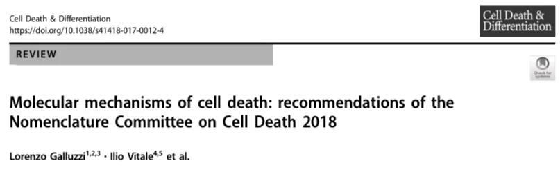 22. CDD_2018.jpeg