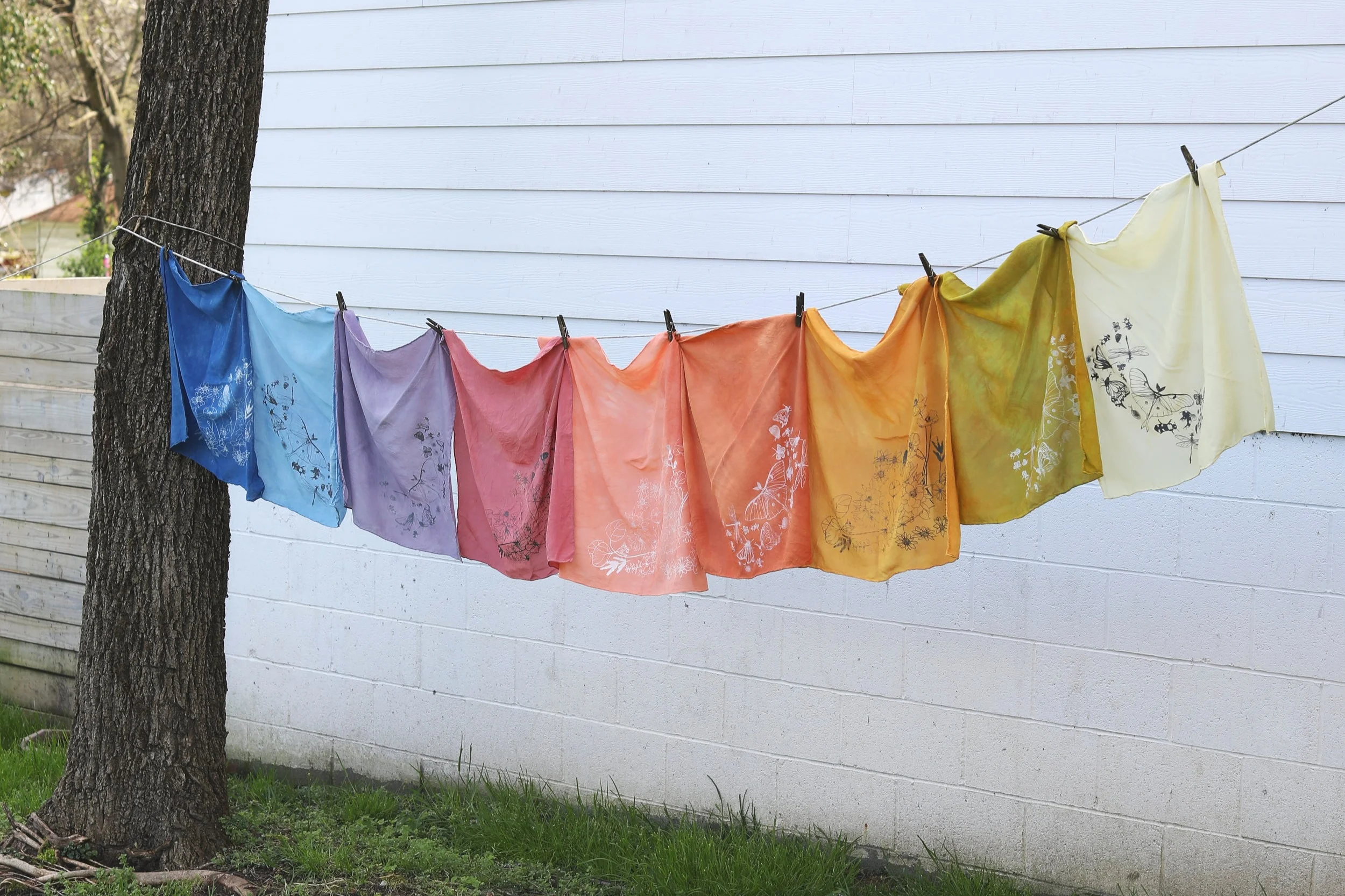 ENDANGERED SERIES - NÅDE STUDIO