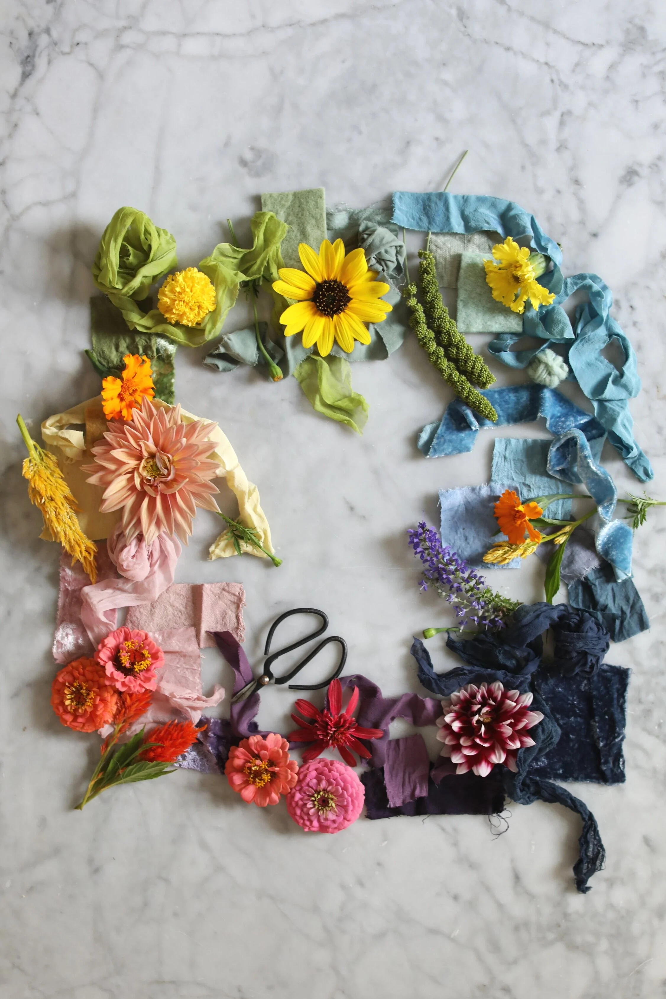 Petals &amp;  Pigments E-course