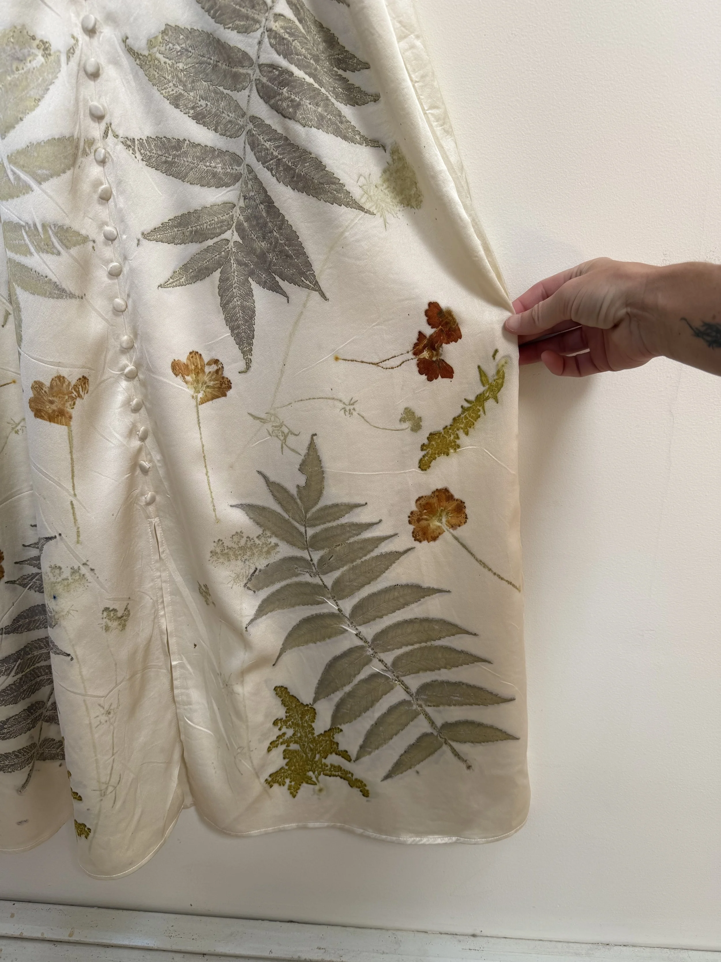 Photo Aug 23 2025, 10 53 18 AM.jpg