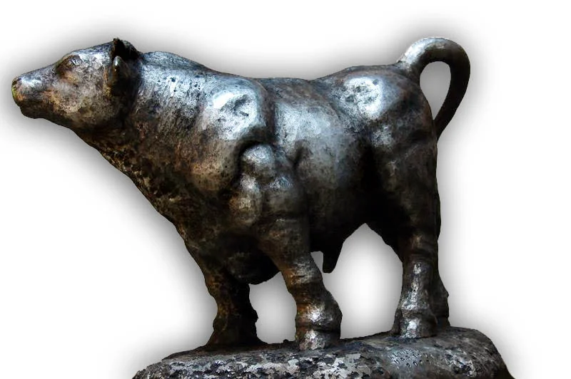 toro3.jpg