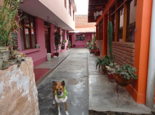 Morales' Home Front View.jpg