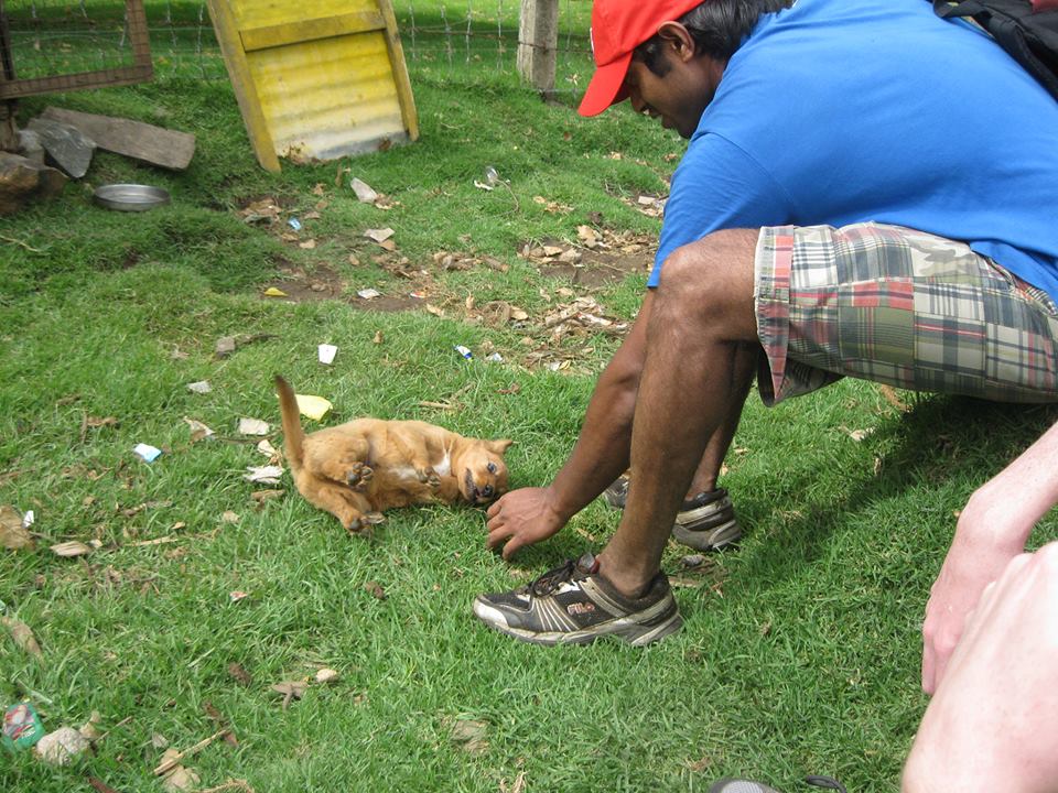 Arun using his dog training skills.