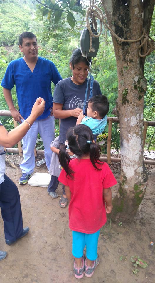 Improvised weighing station - the children loved this bit, hanging from the tree!!