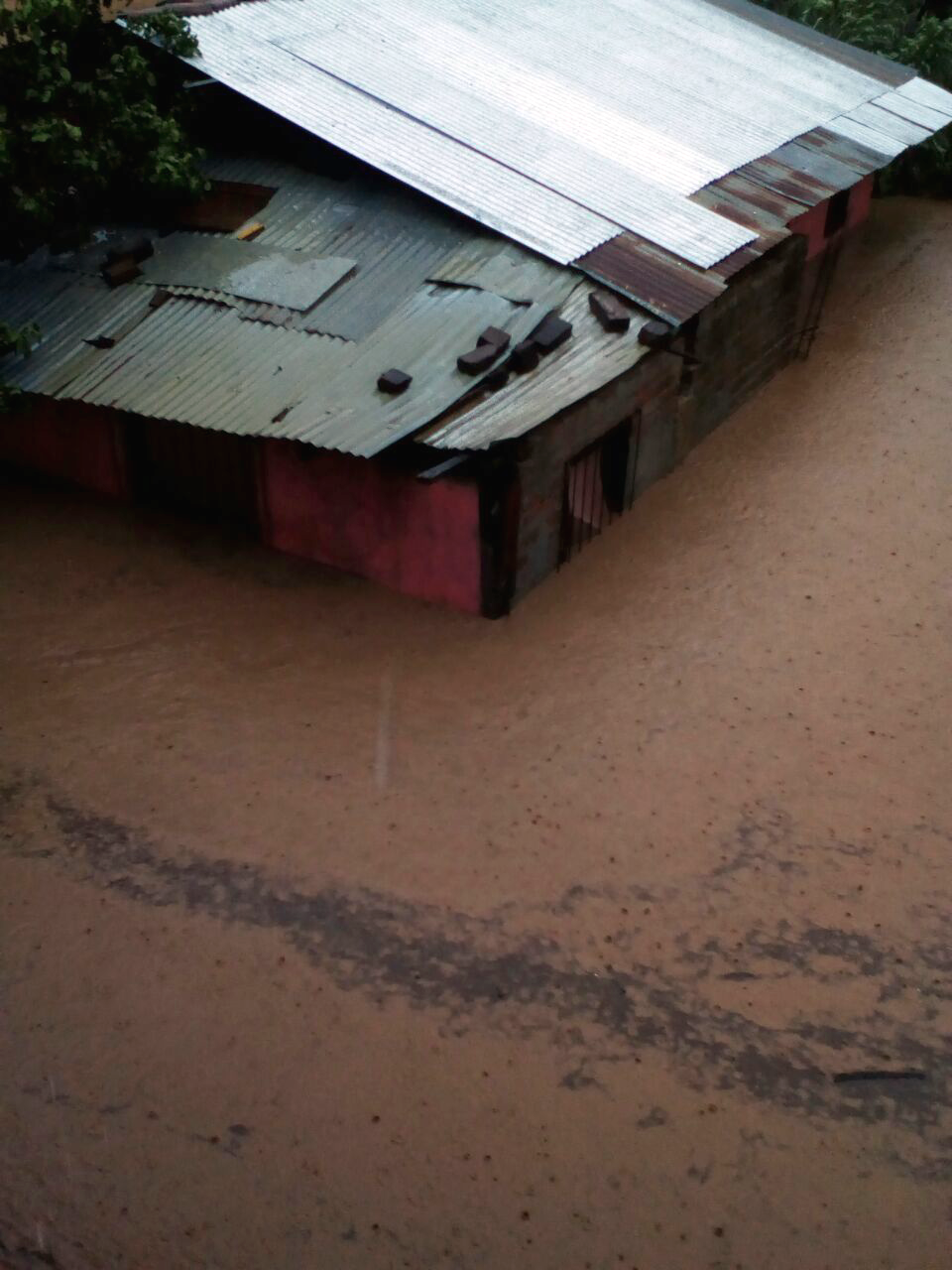 This photo was taken by Jessica Southern, our Field Operations Manager, overlooking her neighbor's home from her second story.