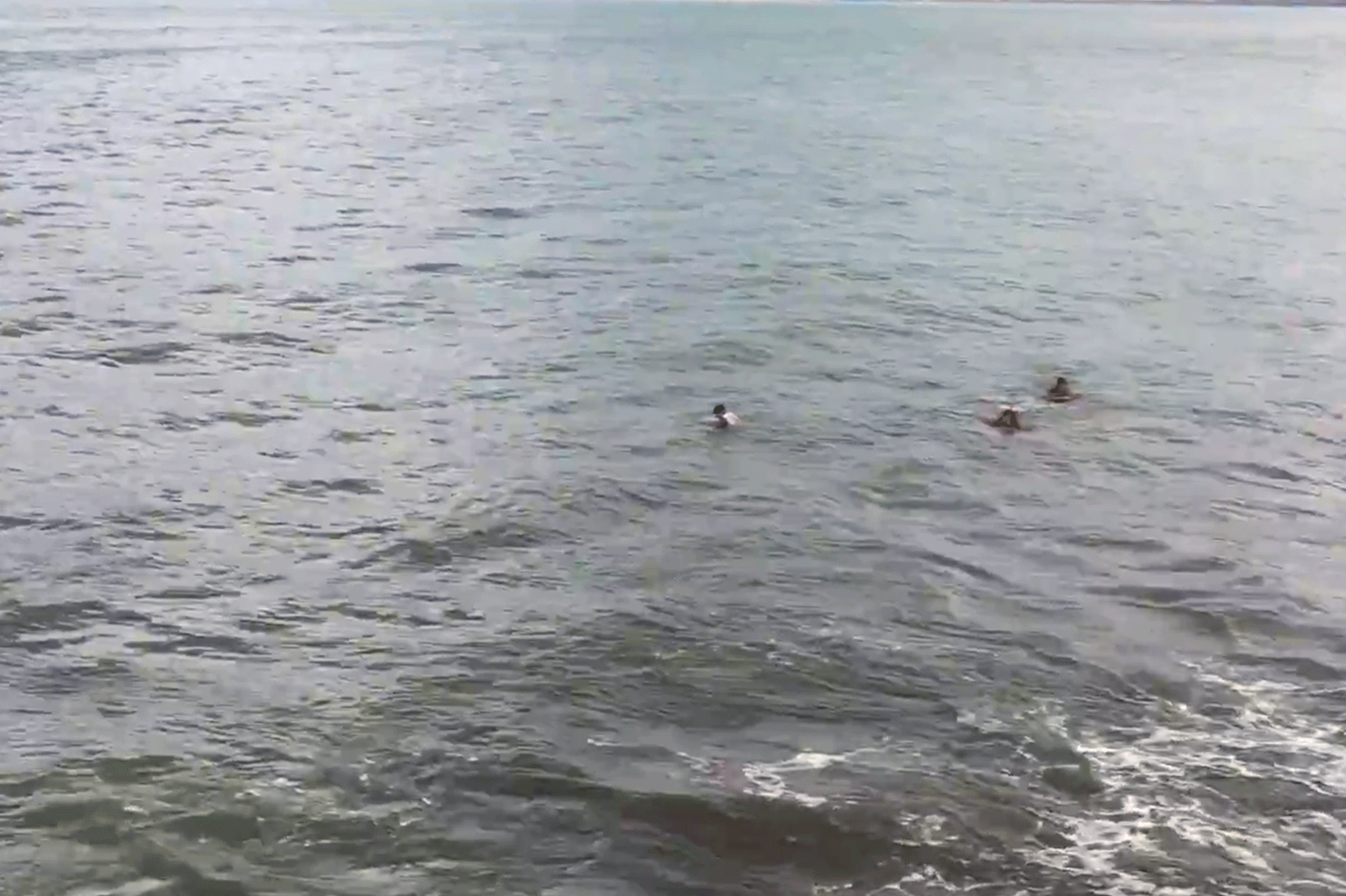 beach-gif.gif