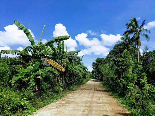 path in philippines - andy roberts.jpg