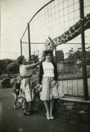 Nuala_giraffe copy.jpg