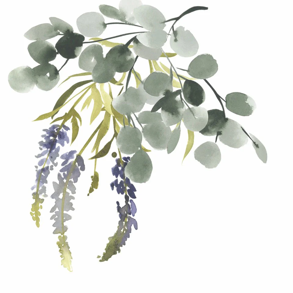 Sobierski-Eucalyptus.jpg